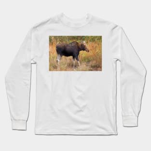 Moose - Algonquin Park, Canada Long Sleeve T-Shirt